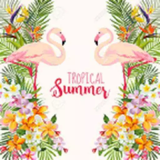 Play Radio Ritmos Tropicales tu mejor opcion APK Play Radio Ritmos Tropicales tu mejor opcion APK