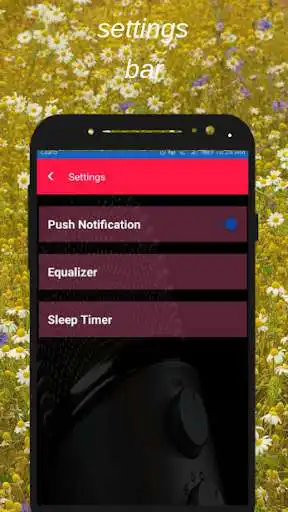 Play Radio Safina Arusha Online App  and enjoy Radio Safina Arusha Online App with UptoPlay