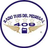 Free play online Radio Taxis del Pedregal APK