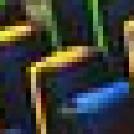 Play Radio Web Piraju FM as an online game Radio Web Piraju FM with UptoPlay