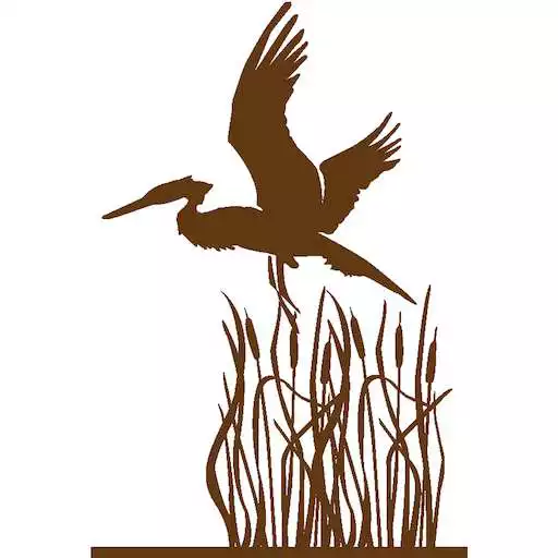 Play Radisson HOA APK