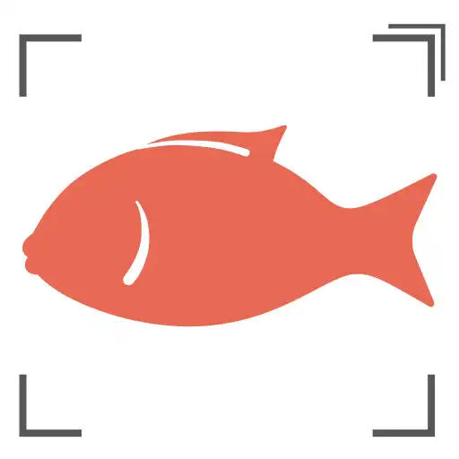 Play RadSnapper APK