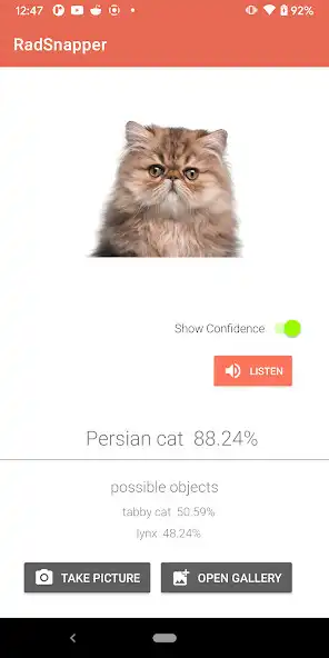 Play RadSnapper as an online game RadSnapper with UptoPlay