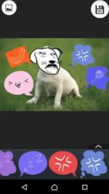 Play Rage Face Photo