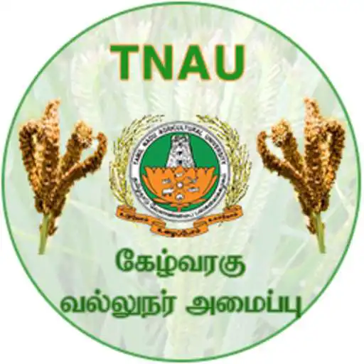 Play Ragi Expert System Tamil APK