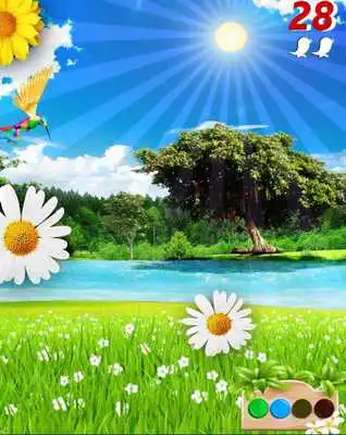 Play Rainbow Bird Demo