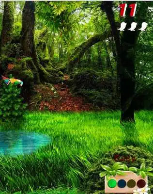 Play Rainbow Bird Demo