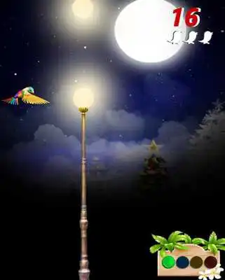 Play Rainbow Bird Demo