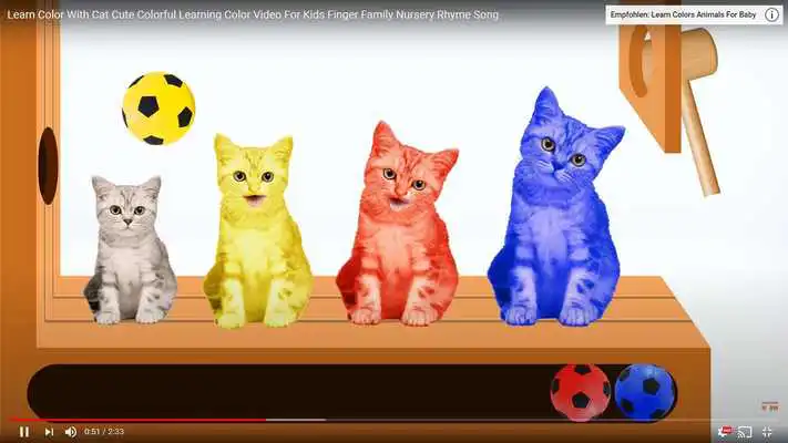 Play Rainbow Play TV