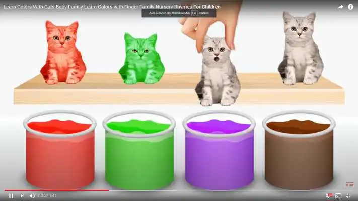 Play Rainbow Play TV