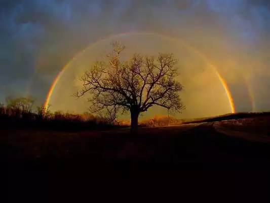 Play Rainbow Wallpaper