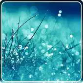 Free play online Rain Drops Wallpaper APK