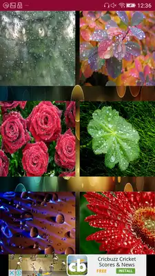 Play Rain Drops Wallpaper Play Rain Drops Wallpaper