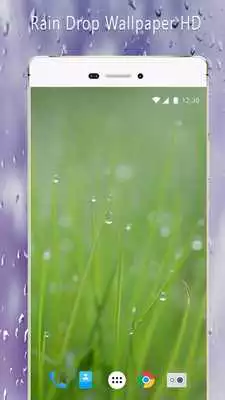Play Rain Drop Wallpaper HD