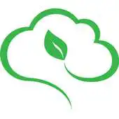 Free play online rainforest365 APK