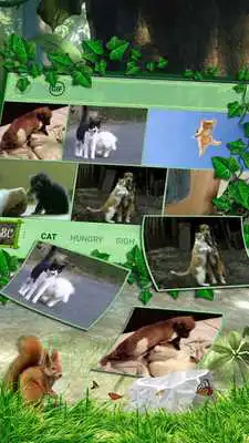 Play Rain Forest Keyboard 2D