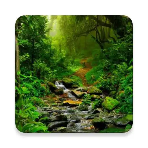 Play Rainforest Sound Collections ~ Sclip.app APK Play Rainforest Sound Collections ~ Sclip.app APK