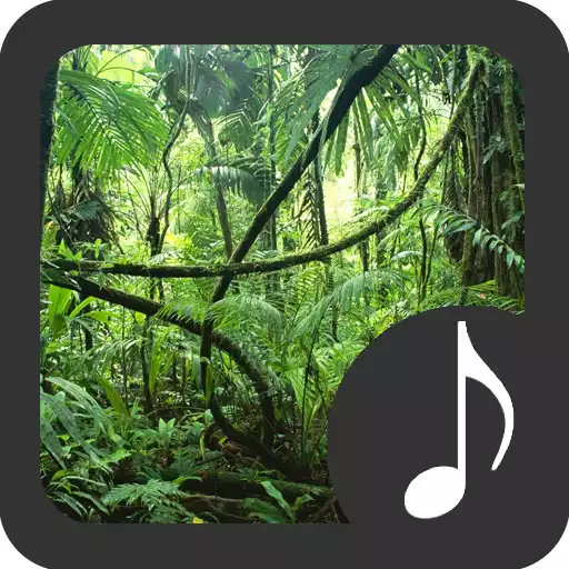 Play Rainforest Sounds APK Play Rainforest Sounds APK