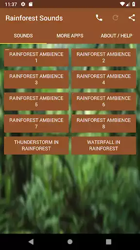 Play Rainforest Sounds  and enjoy Rainforest Sounds with UptoPlay