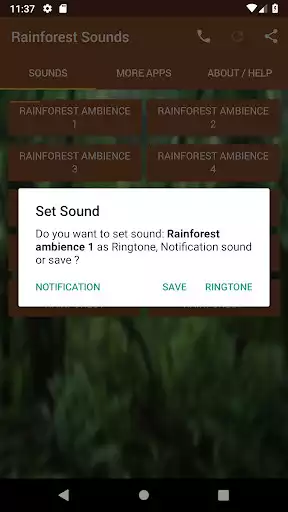 Play Rainforest Sounds as an online game Rainforest Sounds with UptoPlay