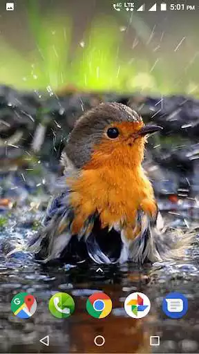 Play Rain HD Wallpaper  and enjoy Rain HD Wallpaper with UptoPlay