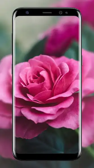 Play Rain In Roses Live Wallpaper  and enjoy Rain In Roses Live Wallpaper with UptoPlay
