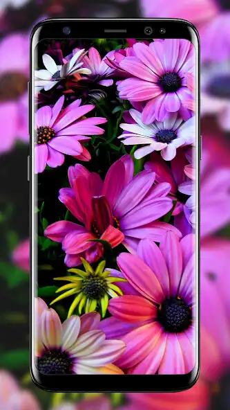 Play Rain In Roses Live Wallpaper as an online game Rain In Roses Live Wallpaper with UptoPlay