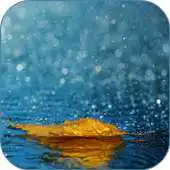 Free play online Rain Live Wallpaper HD APK