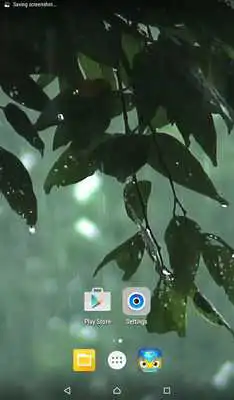 Play Rain Live Wallpaper HD