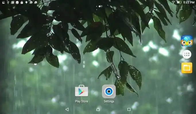 Play Rain Live Wallpaper HD