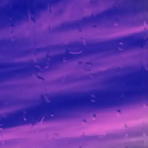 Play Rain Live Wallpaper Pro APK Play Rain Live Wallpaper Pro APK
