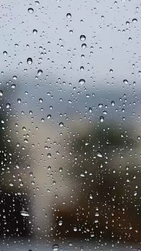 Play Rain Live Wallpaper