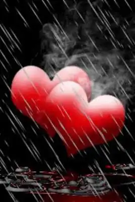 Play Rain On Red Hearts Live Wallpa