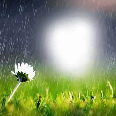 Play Rain Photo Frame