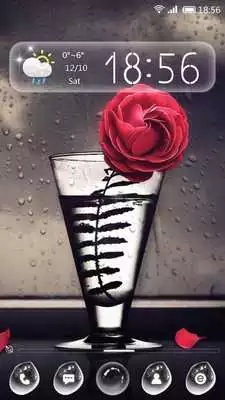 Play Rain Rose 91 Launcher Theme