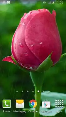 Play Rain Rose