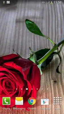 Play Rain Rose
