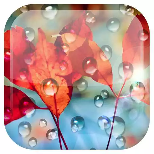 Play Rains Live Wallpaper APK