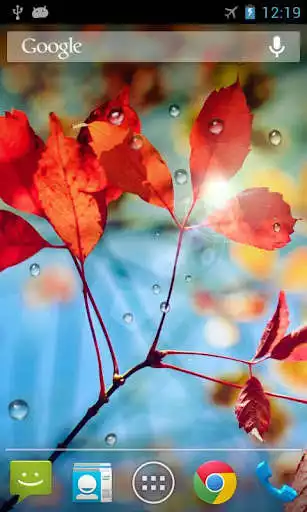 Play Rains Live Wallpaper  and enjoy Rains Live Wallpaper with UptoPlay