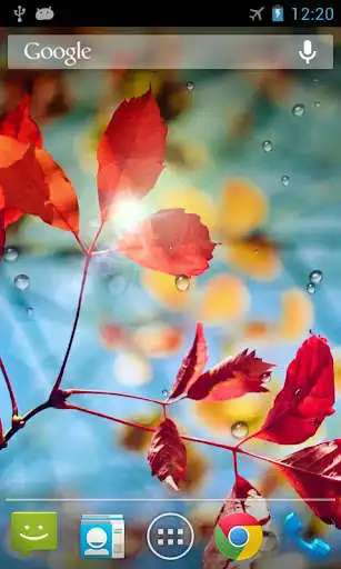 Play Rains Live Wallpaper as an online game Rains Live Wallpaper with UptoPlay