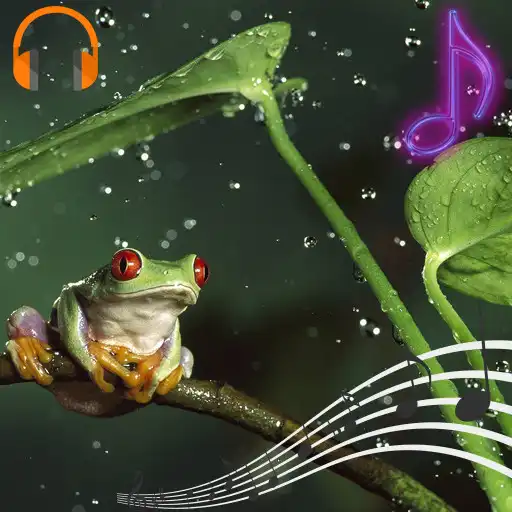 Play Rain Sounds and Ringtones APK