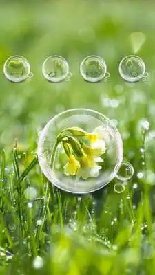 Play Rainy Drops Plant Theme