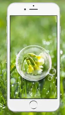 Play Rainy Drops Plant Theme