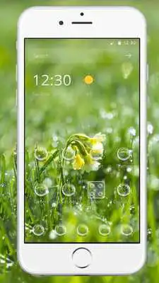 Play Rainy Drops Plant Theme