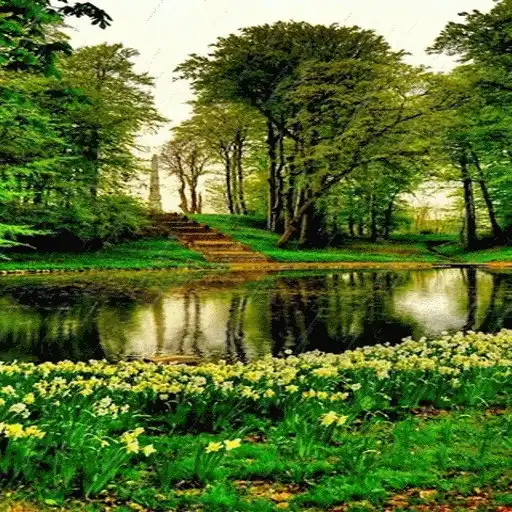 Free play online Rainy Flowers Garden LWP APK Free play online Rainy Flowers Garden LWP APK
