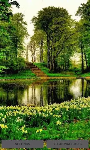 Play Rainy Flowers Garden LWP
