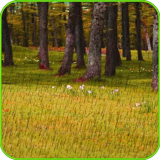 Free play online Rainy Live Wallpaper! APK