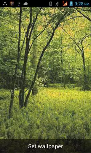 Play Rainy Live Wallpaper!