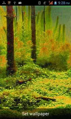 Play Rainy Live Wallpaper!