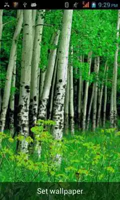 Play Rainy Live Wallpaper!